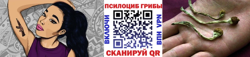 Псилоцибиновые грибы ЛСД  закладки  Неман 