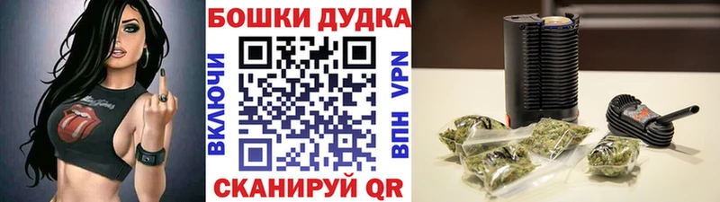 KRAKEN ONION Неман Бошки марихуана индика наркота